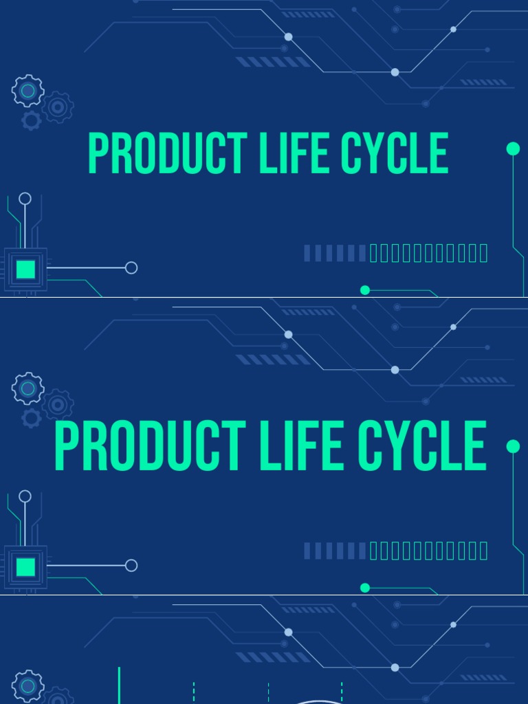 Product Life Cycle example for each stages PDF