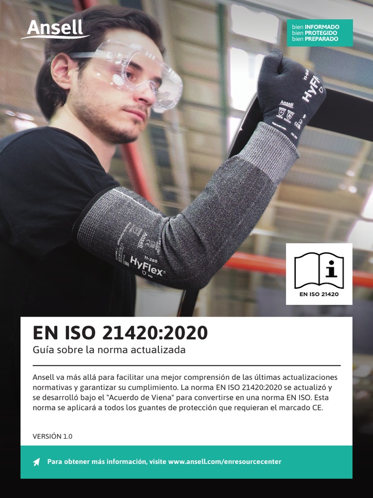 guia-iso-21420-pdf
