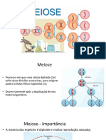 Meiose - Processo de divisão celular que gera células haploides