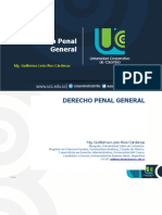 Derecho Penal General