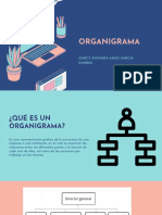 ORGANIGRAMA- DARCY ARIAS