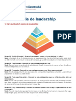 5 niveluri de leadership