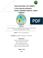 Práctica 1 Diagnostico Ambiental