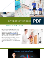 Liver Function Test