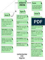 La Célula y Su Estructura, Mapa Conceptual, Biología Celular