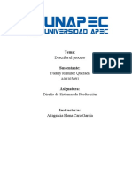 Describa El Proceso - Yudaly Ramirez - A00103091