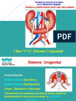 Clase N°12 Sistema Urogenital Corregido