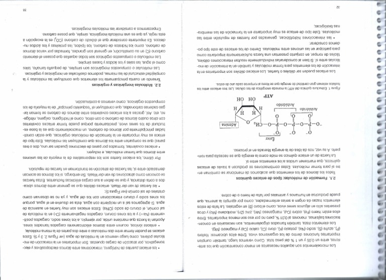 Escanear 0002 | PDF