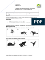 2° año EVALUACIÓN DE ciencias - mamíferos y otros