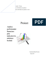 Proiect Analiza Financiara_S.C. Borormir S.a. ....