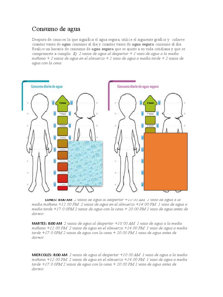 Consumo de Agua | PDF | Cocina, comidas y vino