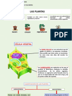 Las Plantas 06-10-22