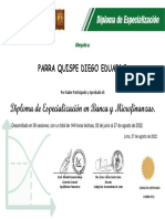 Parra Quispe Diego Eduardo. Diploma