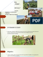 La Agricultura Familiar en El Perú, Walter Escate