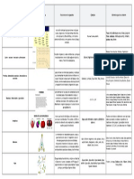 Componentes de Los Seres Vivos en Los Alimentos. Moléculas Orgánicas