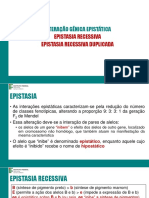 Slides 4 Epistasia Recessiva e Recessiva Duplicada