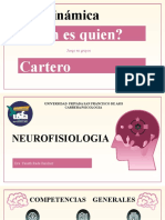 Anatomia Del SN