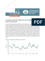 Informe Oic 2020 Julio