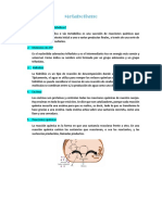 Metabolismo