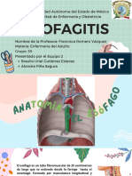 Diagnostico de Esofagitis