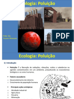 DESEQUILÍBRIOS AMBIENTAIS - POLUIÇÃO - 4ºB - BIOLOGIA