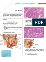 Aula 15 - Patologia Das Glândulas Salivares