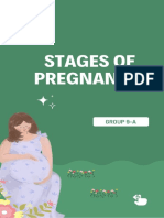 Group 9 - Stages of Pregnancy