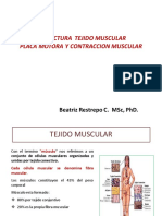 Fibra Muscular y Placa Motora