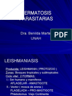 Dermatosis parasitarias: leishmaniasis, escabiosis, pediculosis y larva migrans