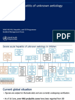 DR Lara Vojnov Severe Acute Hepatitis of Unknown Aetiology WHO Incident Team Who Webinar