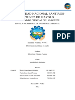 Diversidad Microbiana Del Suelo - Informe de Laboratorio