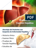 Pruebas de Función Hepática