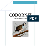 CODORNIZ