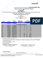 Fannie Mae Term Sheet For The Citigroup - New Century Mortgage Deal 2006-09-07 Cmlti 2006-NC2