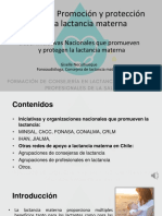 Clase 3 Iniciativas Nacionales Que Promueven y Protegen La Lactancia