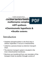 Oxidative Phosphorylation-WPS Office