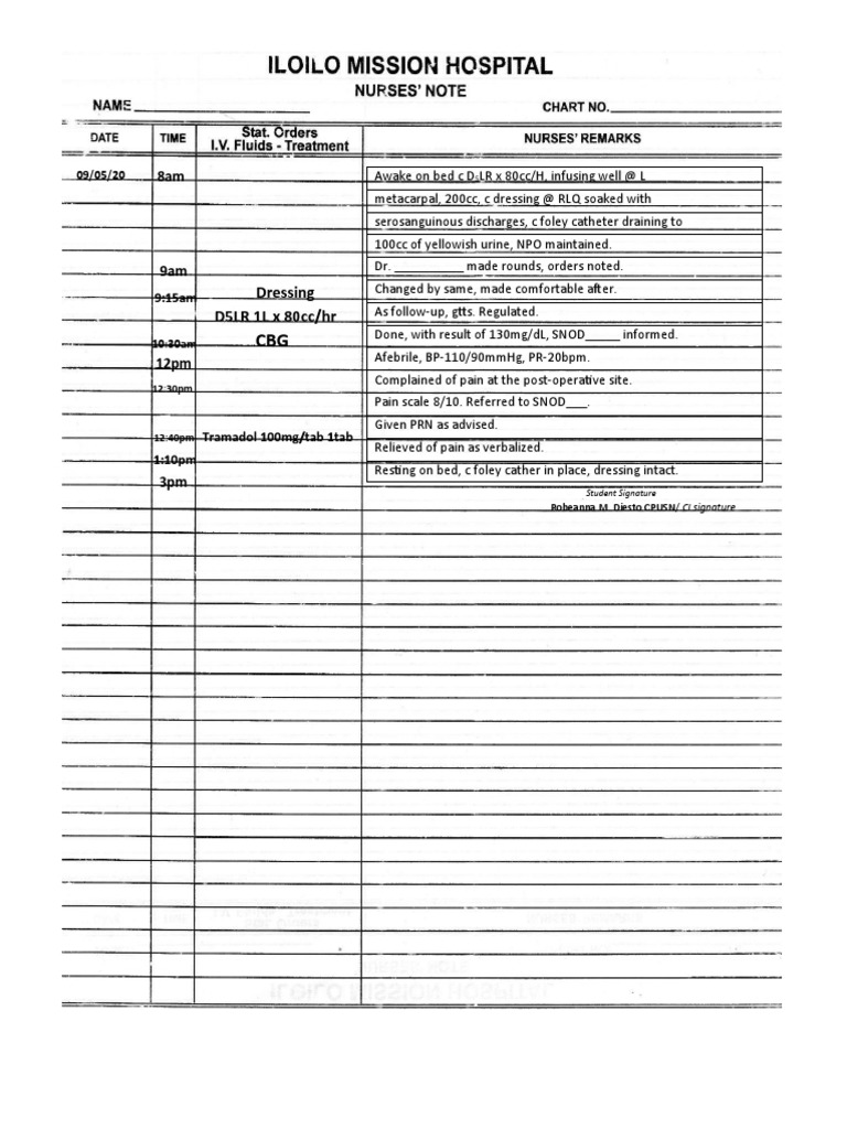 Sample Nursing Notes Format | PDF