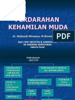 Perdarahan Kehamilan Muda