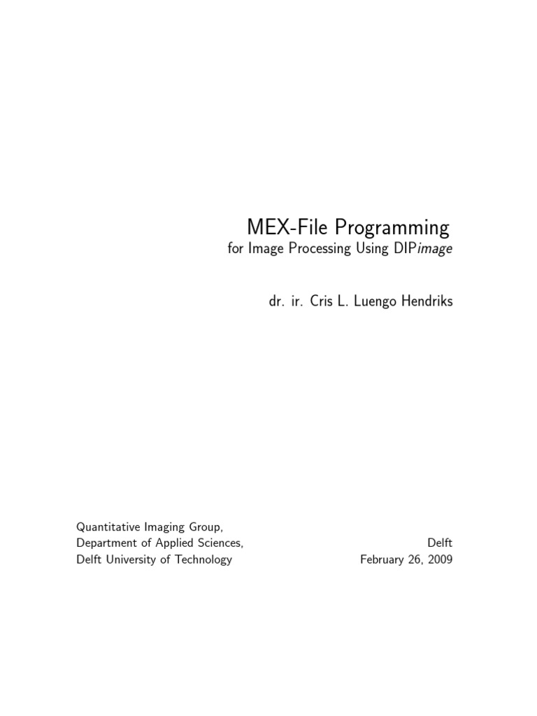 Mex File Programming PDF Matlab Parameter Programming)