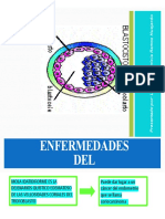 3 - Enfermedad Del Trofoblasto