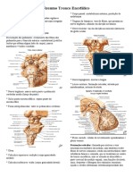 Resumo Tronco Encefalico