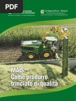 Inserto _ Mais Di Qualita