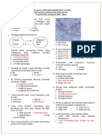 Soal PTS Ips Kelas 7 2022