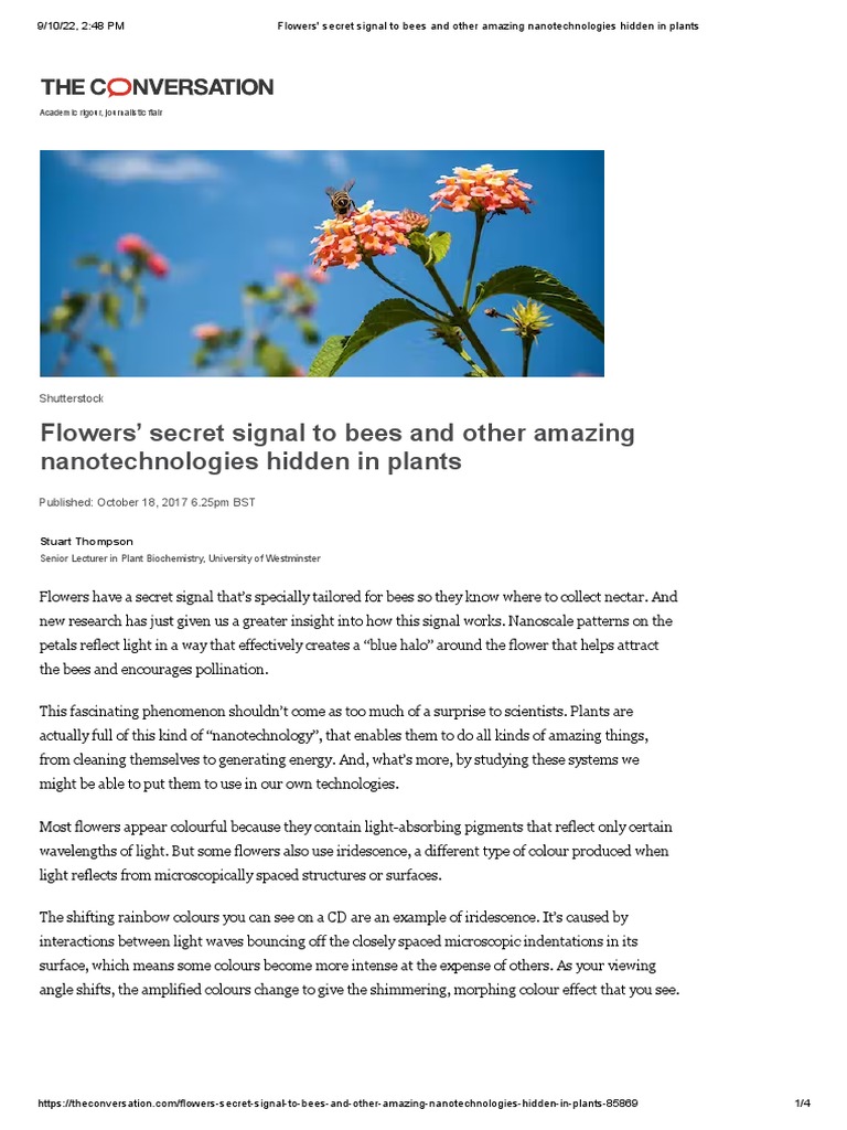 Group 1 Flowers' Secret Signal To Bees and Other Amazing