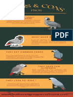Pros & Cons of African Grey Parrots