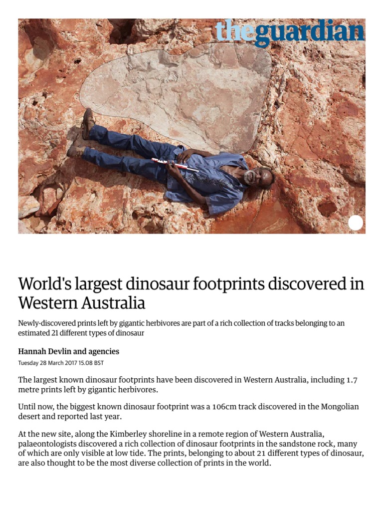World's Largest Dinosaur Footprints Discovered in Western Australia Science The Guardian