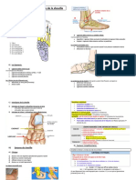 Item 357 Lésions Ligamentaires de Cheville