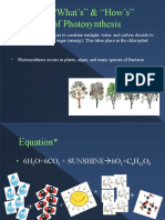 Photosynthesis Reg Bio