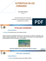 1_CARACTERISTICAS_DE_LOS_CORDADOS.pdf