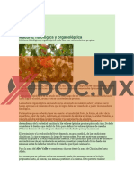 Xdoc - MX Indices de Madurez